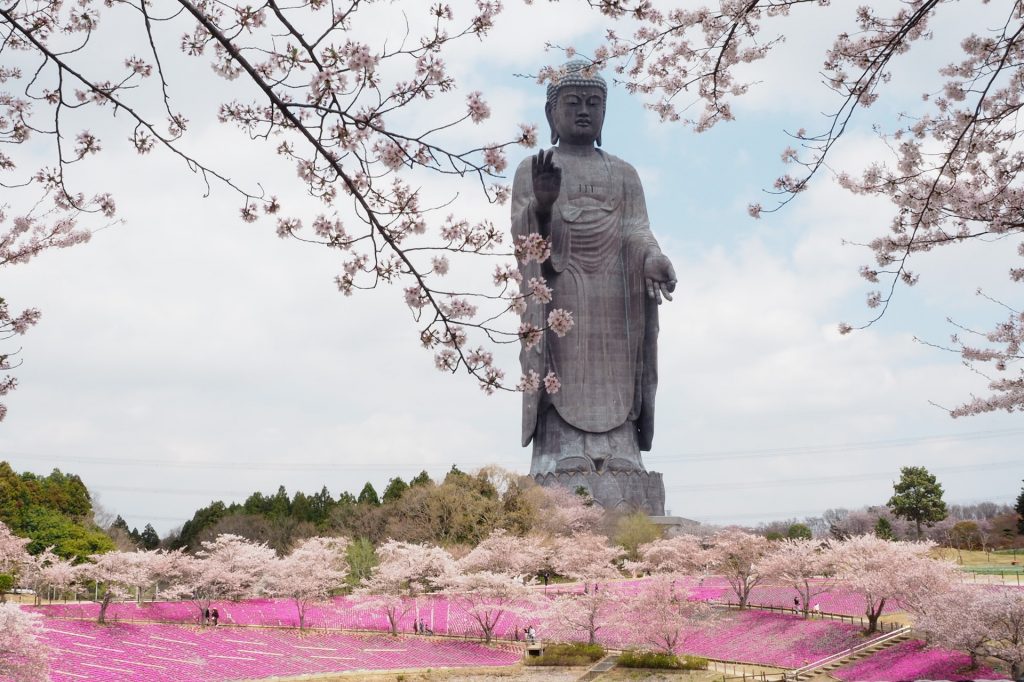 Ushiku Daibutsu, Buddha-statue i Ishiku. Både buddhisme og shinto står sterkt som religion i Japan. 